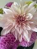 Shiloh Noelle
