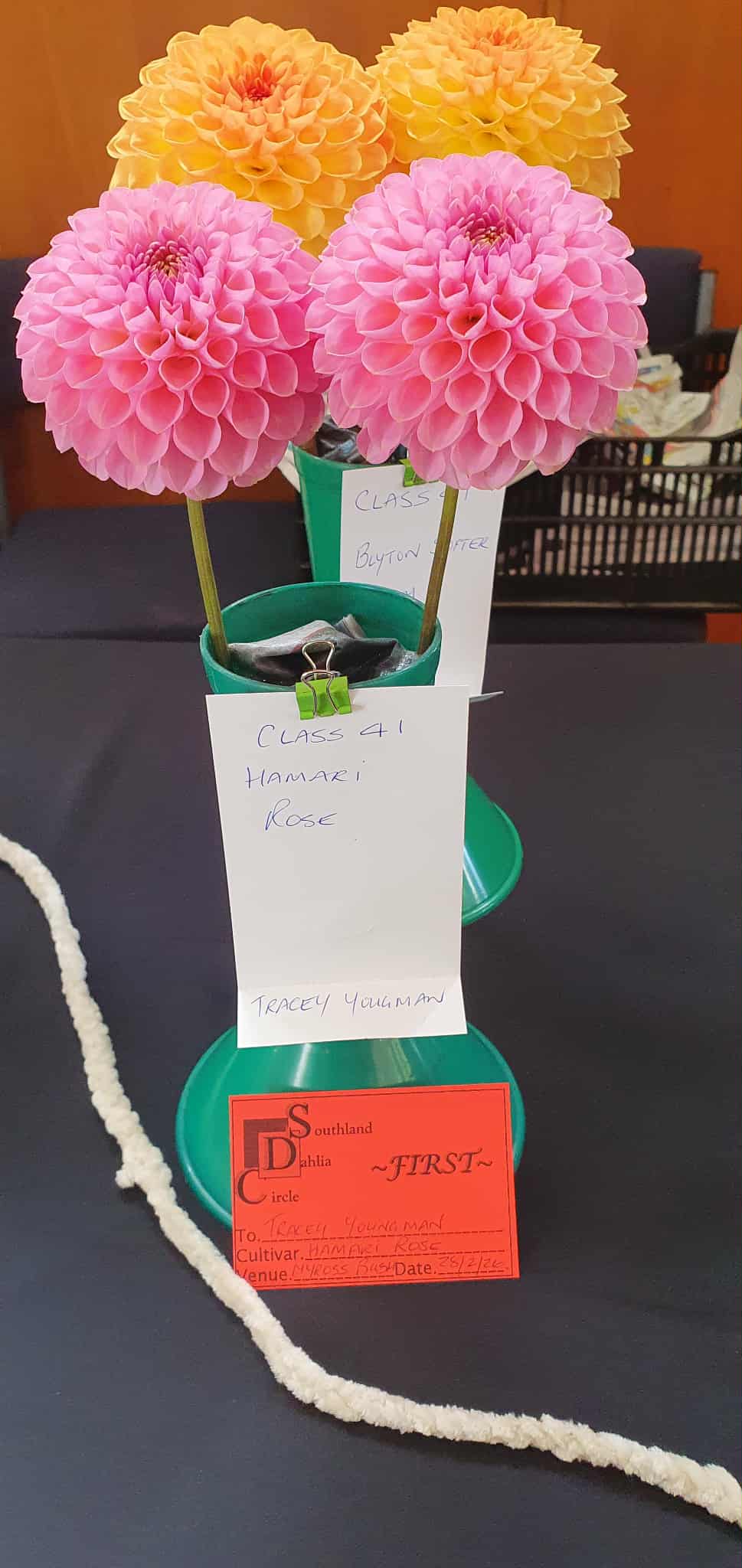 Hamari Rose
